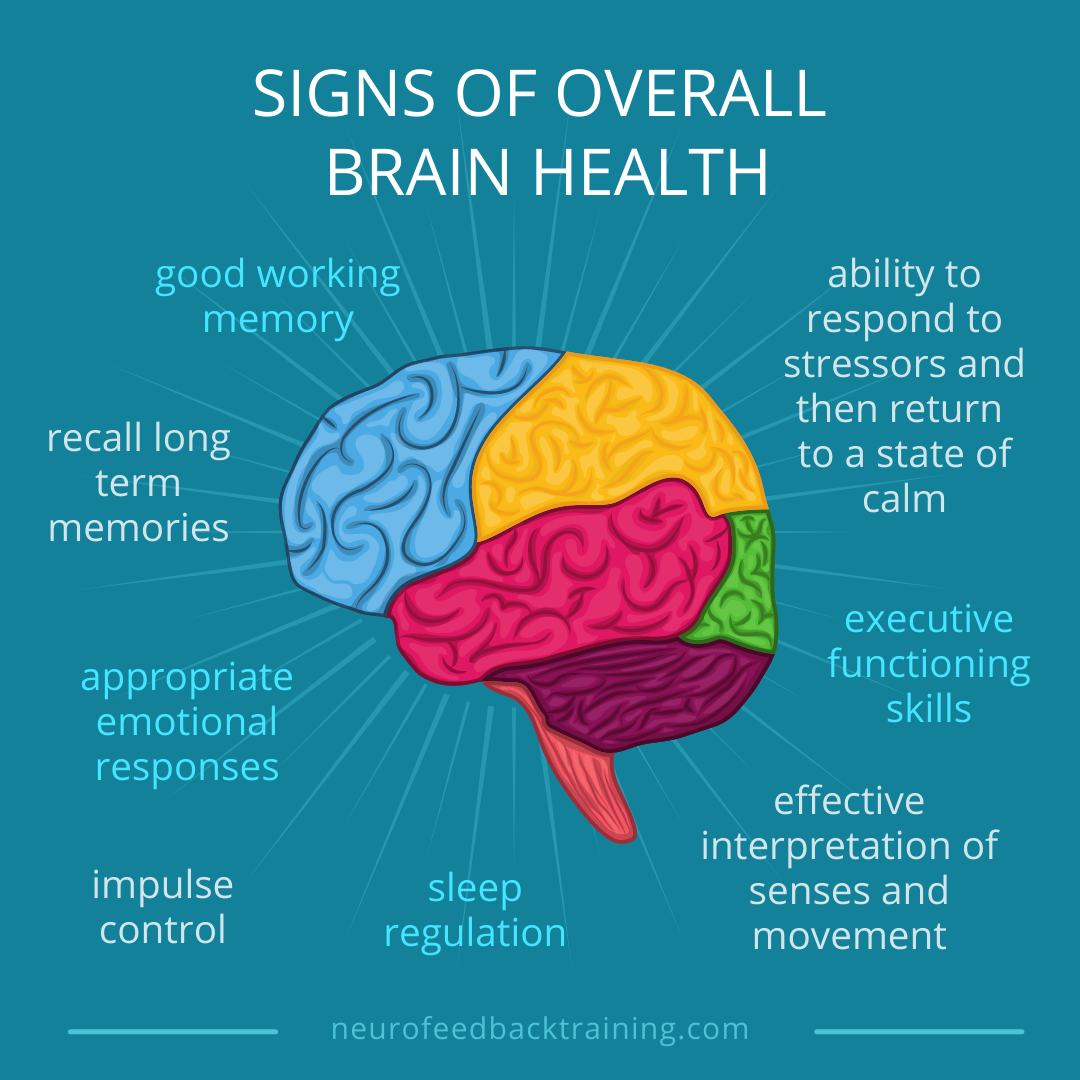 Brain Health — Neurofeedback Training Co.